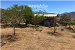  Venta  Sitio en La Higuera  UF854,51 $35.000.000 