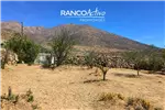 Venta  Sitio en La Higuera  UF854,51 $35.000.000 