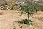  Venta  Sitio en La Higuera  UF854,51 $35.000.000 