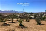  Venta  Sitio en La Higuera  UF854,51 $35.000.000 
