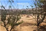 Venta  Sitio en La Higuera  UF854,51 $35.000.000 