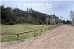  Venta  Parcela en Arauco  $90.109.800 UF2.200 