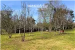  Venta  Casa en Mariquina  UF6.333,89 $260.000.000 